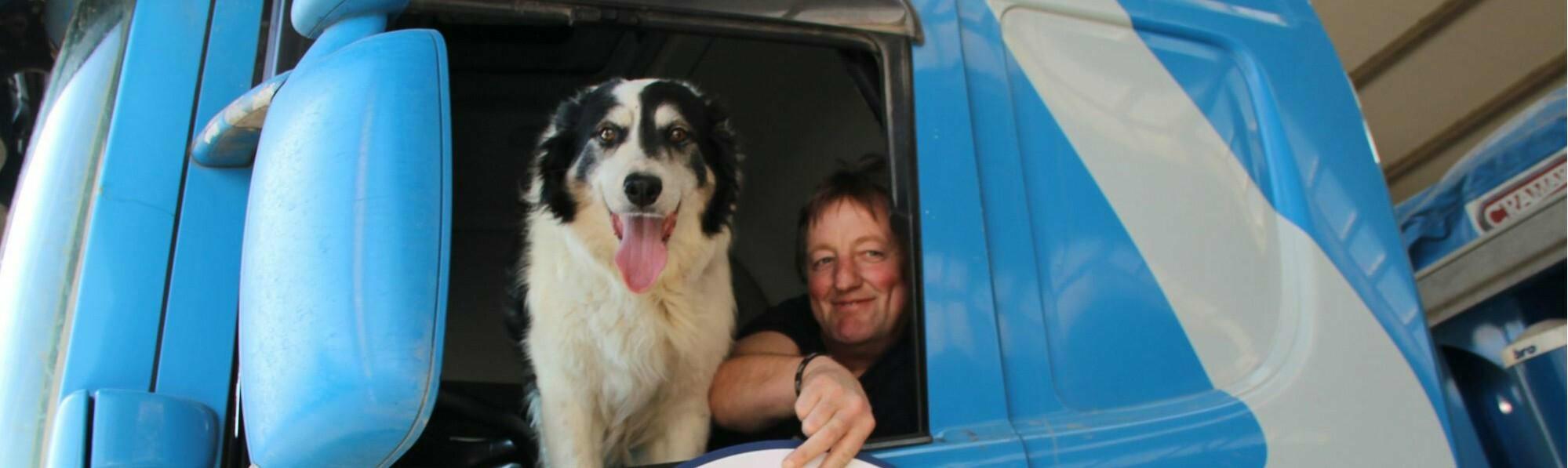 Meet the STAS dog Jules, the border collie co-pilot