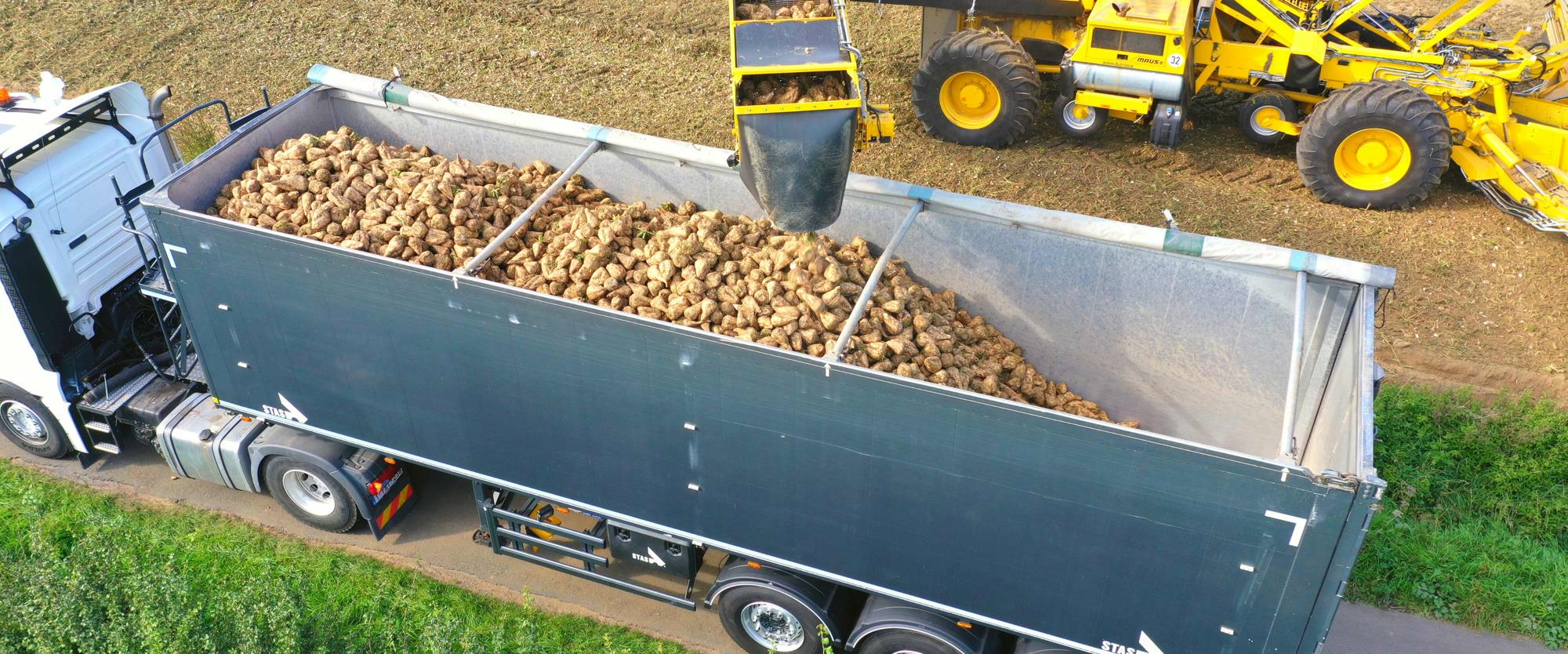 Beet campaign: discover our semi-trailers for your beet transport
